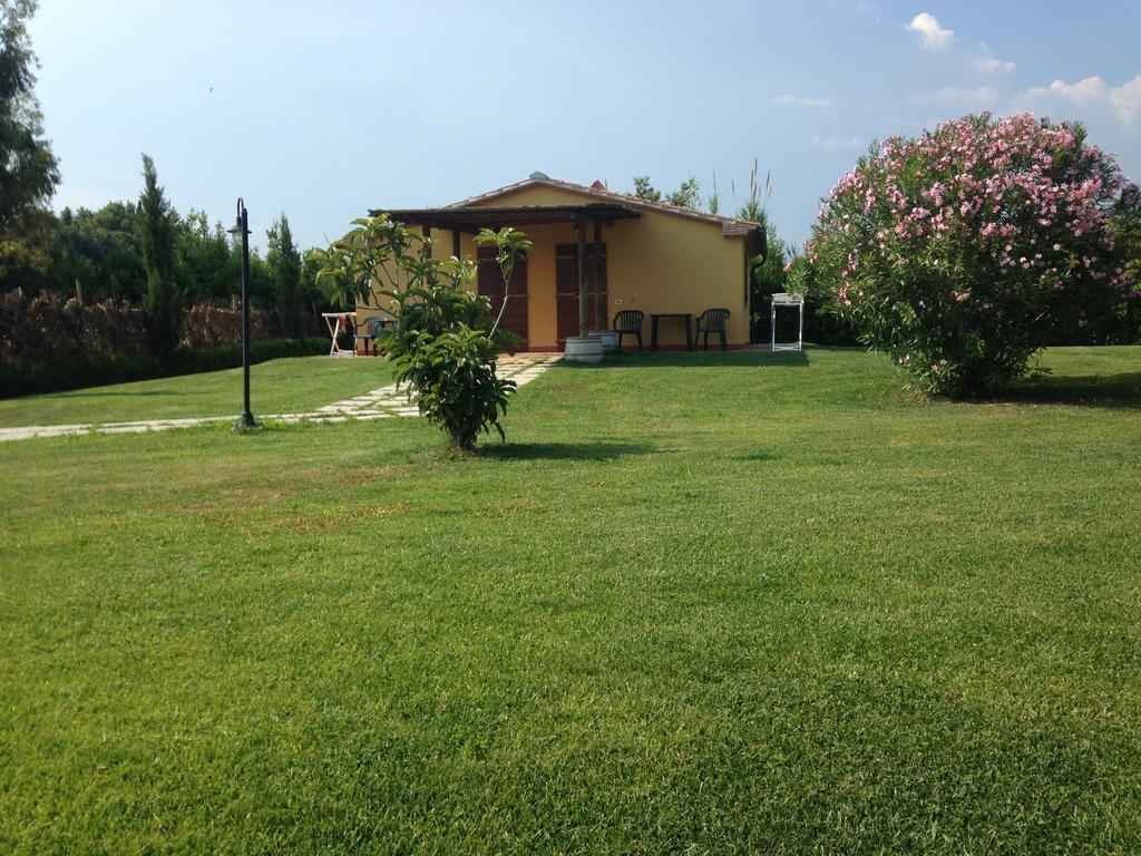 Agriturismo Eucaliptus Bolgheri Exterior photo