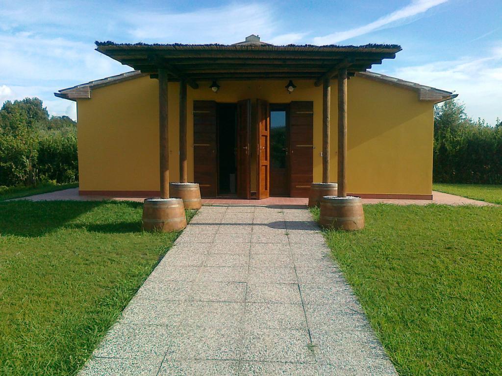 Agriturismo Eucaliptus Bolgheri Exterior photo
